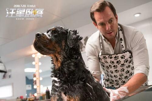 娱乐圈爆料50条狗视频,50条狗视频背后的娱乐圈秘密大揭秘 第1张 娱乐圈爆料50条狗视频,50条狗视频背后的娱乐圈秘密大揭秘 第1张